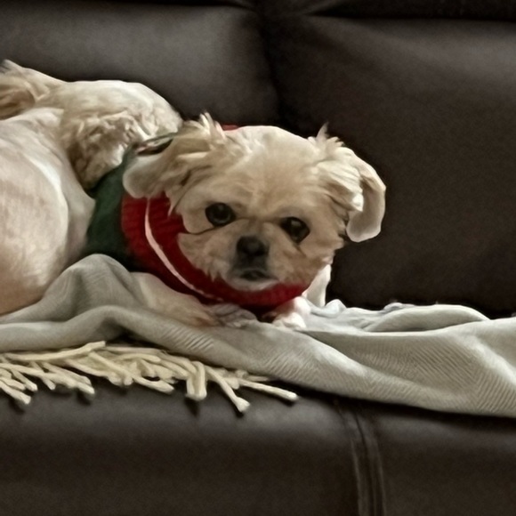 Meet your Poshers, Tracy and Taifa - Picture 12 of 14